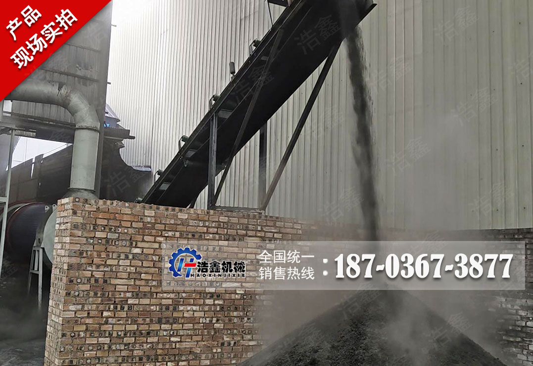 山西煤泥烘干项目