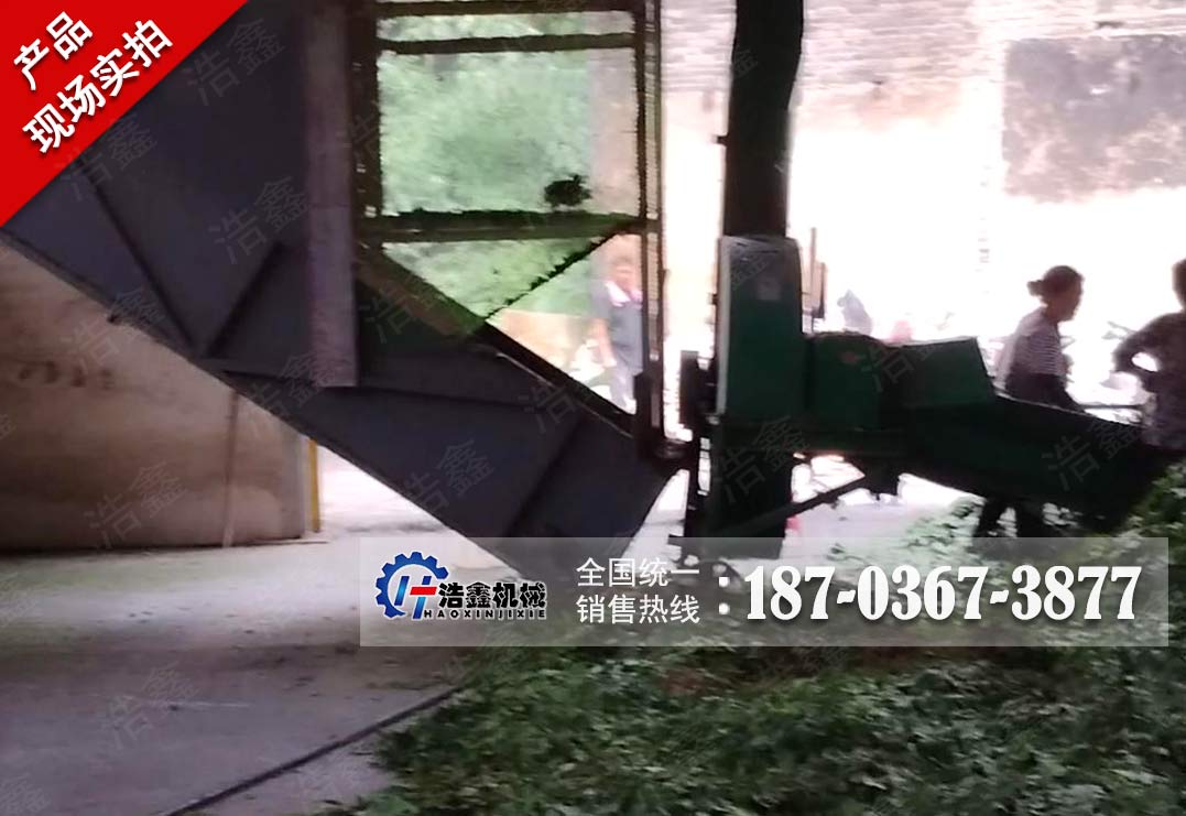 三回程银杏叶烘干生产线